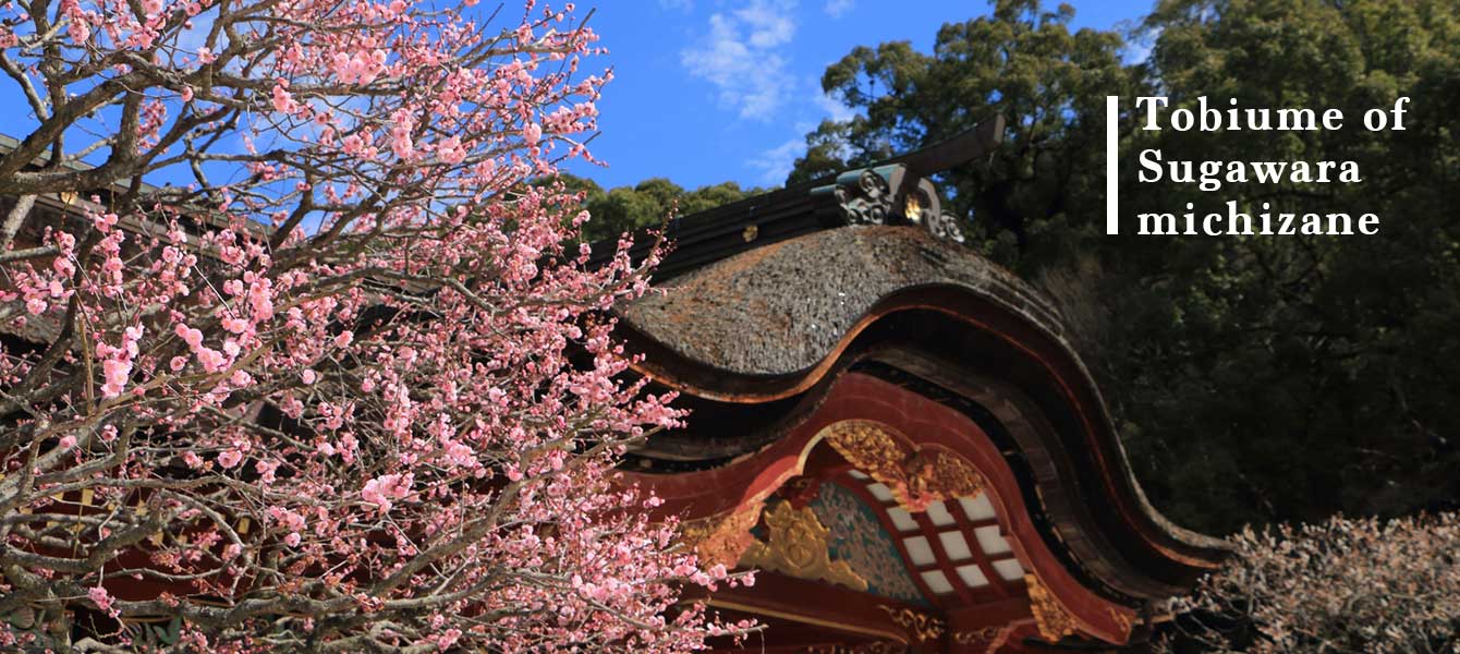 Michizane sugawara of tobiume