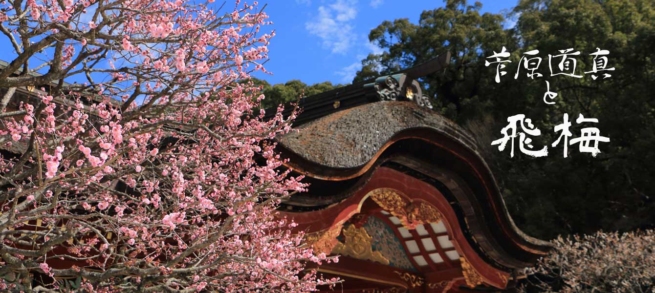 菅原道真の飛梅