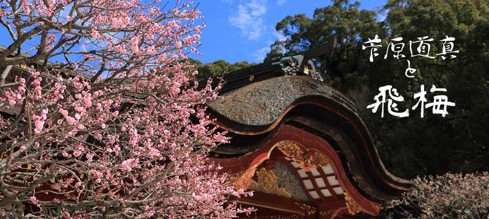 Plum blossoms of Michimasa Sugawara